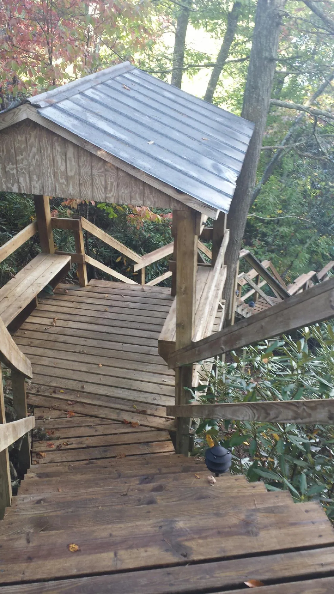 Metal roofed shelter over wooden steps on a wooded walkway — Skylight Repair & Installation work by our crew in Rayne