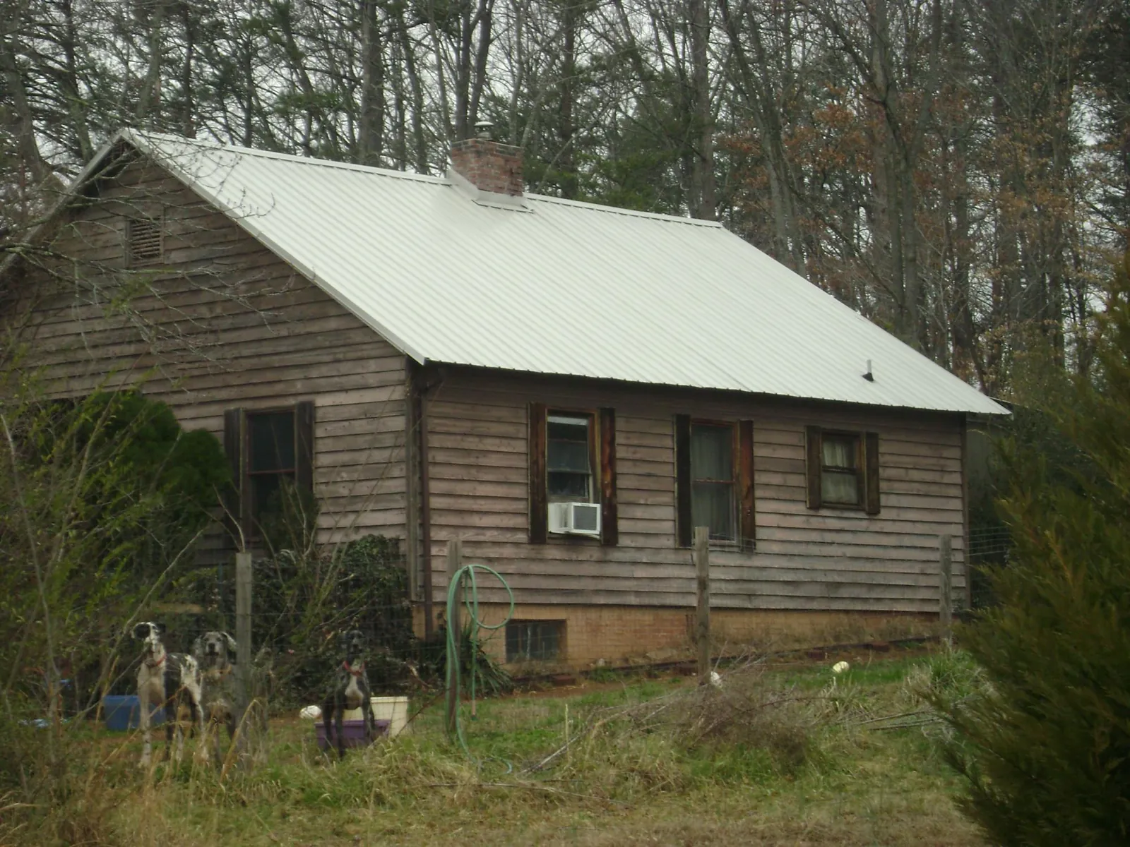 White metal roof on an old wood sided farmhouse, from a Asphalt Shingle Roof Repair job in Rayne